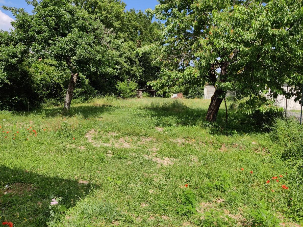 Studio Spacieux Tout Equipe Avec Jardin Varennes-Vauzelles Buitenkant foto